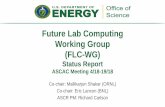 Future Lab Computing Working Group (FLC-WG)/media/ascr/ascac/pdf/meetings/201804/... · Future Lab Computing ... research projects to explore Grid and Cloud based computing for almost