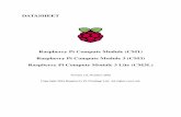 Raspberry Pi Compute Module (CM1) Raspberry Pi .1 Introduction The Raspberry Pi Compute Module (CM1),