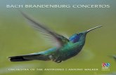BACH BRANDENBURG CONCERTOS - buywell.com · 2 JOHANN SEBASTIAN BACH 1685-1750 CD1 Brandenburg Concerto No. 1 in F major, BWV1046 [19’27] 1 I. [Allegro] 3’51 2 II. Adagio 3’41