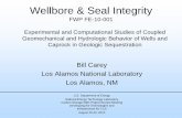Wellbore & Seal Integrity Library/events/2013/carbon storage/10... · Wellbore & Seal Integrity FWP FE-10-001 . Bill Carey . Los Alamos National Laboratory . Los Alamos, NM . U.S.