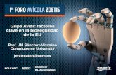 Gripe Aviar: factores clave en la bioseguridad de la EU · Gripe Aviar: factores clave en la bioseguridad de la EU Prof. JM Sánchez-Vizcaíno Complutense University jmvizcaino@ucm.es