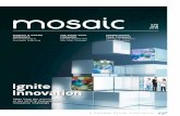 mosaic - parkwaypantai.com · his issue of Mosaic celebrates staff innovation, anchoring on the winning ideas from the Parkway Pantai Innovation Challenge 2017/18. The inaugural competition,