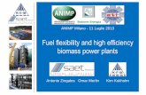 Fuel flexibility and high efficiency biomass power plants · • Wide range of fuel types based on similar ... fixed type soot blower. ... with high pitch and fixed type soot blowers.