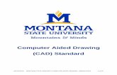 Computer Aided Drawing (CAD) Standard · Montana State University Computer Aided Drawing (CAD) Standard . Ownership . Montana State University (MSU) ... AG Architectural Graphics
