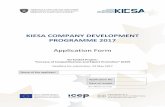 ICEP 1E SME-App-Form ENG WORK - kiesa.rks-gov.netkiesa.rks-gov.net/desk/inc/media/816FA2EA-42AE-4D... · Leather products Other (specify): ... Does your company have a strategic plan