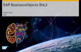 Merlijn Ekkel SAP€¦ · SAP BusinessObjects BI 4.2 - Platform Simplification for IT