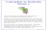 Caterpillar to Butterfly Week 1 - 3 Learn Curriculum123learncurriculum.info/.../09/Caterpillar-to-Butterfly-Week-1.pdf · Story Time Read the book ... “My butterfly can fly very