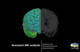 Boris Bernhardt, PhD Structural MRI analysis · Structural MRI analysis Boris Bernhardt, PhD ... process-based interpretation (e.g., ... ‣ assessing brain pathology and biomarker