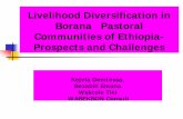 Livelihood Diversification in Borana Pastoral … · Borana Pastoral Communities of ... the pastoral communities in Borana, Oromiya Region, Southern Ethiopia. 2. Methodology ... Semi-Structured