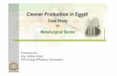 Cleaner Production in Egypt - CP Arab CP workshop materials/Lect 21 Energy... · Cleaner Production in Egypt Case Study in. ... Case Study CP Application in a ... Replacement of the