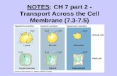 Ch. 8: Transport Across the Cell Membrane · 7.5 - Bulk transport across the plasma membrane occurs by exocytosis and endocytosis