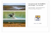 National Wildlife Refuge System - United States Fish …€¦National Wildlife Refuge System. Strategic Workforce Planning Report . June 13, 2008