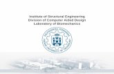 Institute of Structural Engineering Division of Computer ... · Division of Computer Aided Design of Institute of Structural Engineering ... mechanical analysis of large and complex