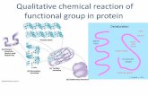 Qualitative chemical reaction of functional group of …fac.ksu.edu.sa/sites/default/files/Qualitative_chemical_reaction... · Qualitative chemical reaction of functional group in