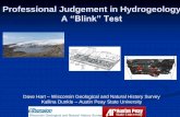 Professional Judgement in Hydrogeology A “Blink” Teststate.awra.org/wisconsin/2018meeting/Session4C2Hart.pdf · Blink: The Power of Thinking Without Thinking Book by Malcolm Gladwell