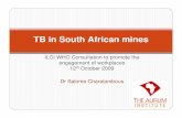 TB in South African mines - World Health Organization · TB in South African mines ILO/ WHO Consultation to promote the engagement of workplaces 12 th October 2009 Dr Salome Charalambous