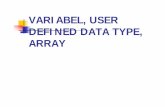 VARIABEL, USER DEFINED DATA TYPE, ARRAY - .Variabel d. Module Level Variabel - Scope dan lifetime