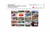 Japan: 48 Month Report Earthquake and Tsunami · 2015-12-22 · A report on their activities titled “JRS Health ... Municipal Housing and Masanai Municipal Housing. ... length and