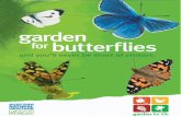 garden butterflies for - Butterfly Conservation · Evening primrose* Oenothera var. Jun-Aug Forget-me-not* Myosotis var. May French marigold ... Remember that butterflies favour spots