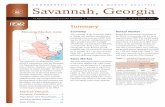 Comprehensive Housing Market Analysis for Savannah, Georgia · Financial activities 6,400 6,400 0 0.0 ... (Georgia Department of Economic ... Comprehensive Housing Market Analysis