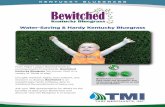 Water-Saving & Hardy Kentucky Bluegrass - Turf …turfmerchants.com/site/media/TMI_Bewitched_flyer_716.pdf · Water-Saving & Hardy Kentucky Bluegrass Bewitched is ideal for sports