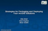 Strategies for Packaging and Deploying Your ArcGIS … · Strategies for Packaging and Deploying ... • Your application may be limited by the product ... MSI setup program includes
