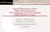 Small Business Size Determinations: Identifying and ... · Small Business Size Determinations: Identifying and Avoiding Affiliation Traps ... the size standard in that procurement
