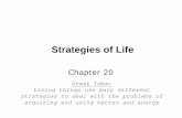 Strategies of Life - George Mason Universityphysics.gmu.edu/~hgeller/HONORS227/227f08Chptr20a.pdf · Strategies of Life Chapter 20 ... • Defining living things –By characteristics