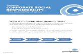Strategy for CORPORATE SOCIAL RESPONSIBILITY · Strategy for Corporate Social Responsibility - from accountability to business Matrix to determine the limits of accountability Your