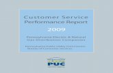 Customer Service front cover8.5x11 copy - … · Customer Service Performance Report 2009 ... A justified informal consumer complaint is a complaint where the BCS has determined that