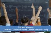 Student Mastery: Multiple Opportunities to Demonstrate ...proposals.learningforward.org/handouts/Nashville2014/G34/Learning... · CCSS.Math.Content.6.SP.B.4 Display numerical data