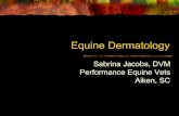 Equine Dermatology - Performance Equine Vets · Equine Dermatology Sabrina Jacobs, DVM ... epidermal collarettes, scaling Lesions can begin on head or legs and spread to rest of body