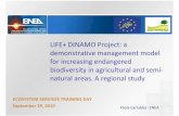 LIFE+ DINAMO Project: a demonstrative management … · The Ecosystem approach is based on 12 complementary and interlinked ... Reptiles European Pond Terrapin ... express their interest