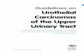 Urothelial Carcinomas of the Upper Urinary Tracturoweb.org/wp-content/uploads/EAU-Guidelines-Upper-Urinary-Tract... · 2 urothelial carcinomas of the upper urinary tract - limited