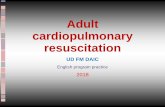 Adult cardiopulmonary resuscitation - aitt.med.unideb.huaitt.med.unideb.hu/sites/aitt.med.unideb.hu/files/Oldal/141/als.pdf · English program practice 2018.  . Terminology
