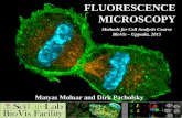 FLUORESCENCE MICROSCOPY - BioVis fileFLUORESCENCE MICROSCOPY . Methods for Cell Analysis Course . BioVis ... - special optical elements are needed (filter cubes) high resolution, high