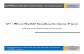 SAP HANA and “Big Data” Competency Development … - SAP HANA and BOBI... · SAP HANA and “Big Data” Competency Development Program ... - SQL & Procedures - Data Analysis