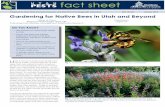 Gardening for Native Bees in Utah - US Forest Service · Gardening for Native Bees in Utah and Beyond ... • 900 species of native bees reside in Utah. ... Aquilegia RANUNCULACEAE