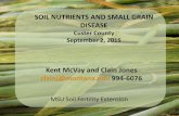 SOIL NUTRIENTS AND SMALL GRAIN DISEASElandresources.montana.edu/soilfertility/documents/... · SOIL NUTRIENTS AND SMALL GRAIN DISEASE Custer County ... and more stability . ... yield