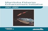 MANITOBA FISHERIES ENHANCEMENT INITIATIVE … · Manitoba Fisheries Enhancement Initiative ... Benton and Bowles Advertising. ... A brief summary of each category and its projects