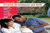 Chapter 19: Prenatal Development and Birth · Life Cycle Prenatal Care ... 486 Chapter 19 Prenatal Development and Birth ... slide show that describes changes during pregnancy and