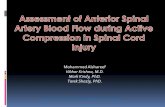 Mohammed Alshareef Vibhor Krishna, M.D. Mark …€¦ · Mohammed Alshareef Vibhor Krishna, M.D. Mark Kindy, PhD. Tarek Shazly, PhD. Excerpt from the Proceedings of the 2012 COMSOL