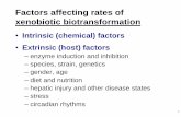 Factors affecting rates of xenobiotic biotransformationsce.uhcl.edu/howard/5332_course_mtls/2010/Lecture05Slides10.pdf · Factors affecting rates of xenobiotic biotransformation ...
