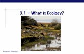 3.1 – What is Ecology? - Quia · Ecology ! Ecology – the ... succeeding trophic levels. Why? 1. Of the food available, ... The 10% Rule ! The energy stored by the organisms at