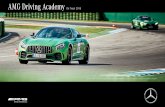 AMG Driving Academy · This new racing car is based on the Mercedes-AMG GT R, featuring a near-series concept that is designed to meet the requirements of the international GT4 racing