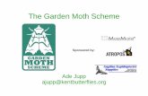 The Garden Moth Scheme - WordPress.com · butterflies. The Garden Moth Scheme ... (see last slide) ... Black-veined Moth (Wye area, North Downs) Marsh Mallow Moth ...