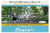 Nature Day Camp - Mass Audubon · ABOUT CAMP Broad Meadow Brook Nature Day Camp ... farther afield to Lookout Rock, and Explorers will canoe off-site in the Blackstone River Watershed.