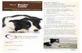Border Collies: What a Unique Breed!vcparker.net/wp-content/uploads/2015/12/Border_Collie.VCPI_.pdf · Border Collies: What a Unique Breed! Your dog is special! She's your best friend,