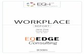 WORKPLACE - oka-online.com · improve oneself and engage in the pursuit of personally relevant and meaningful objectives that lead to a rich and enjoyable life. Emotional Self-Awareness