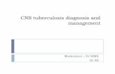 CNS Tuberculosis Diagnosis and Management 2011 · Posterior fossa lesion ... well enhancing ring or disc shape lesion with ppggerilesional edema , ... CECT shows a rim-enhancing lesion